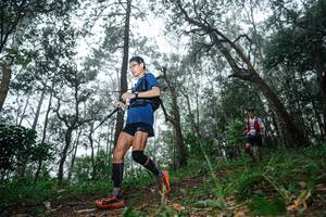 BIB: 
                            <button type="button" onclick="openModal(22569215)" class="btn btn-primary btn-sm float-right btn-popup" data-toggle="modal" data-target=".modal-high-quality">
                        <i class="fas fa-shopping-cart"></i> Add to Cart
                    </button>
                                            <button type="button" onclick="isThisMe(22569215, true)" class="btn btn-success btn-sm float-right btn-popup btn-isme hidden" data-toggle="tooltip" data-placement="bottom" title="นี่คือรูปของคุณใช่ไหม คลิกที่นี่เพื่อเอาเข้าอัลบั้ม">
                        <i class="fas fa-plus"></i> Add to album
                    </button>
                    <button type="button" onclick="isThisMe(22569215, false)" class="btn btn-warning btn-sm float-right btn-popup btn-isnotme hidden">
                        <i class="fas fa-ban"></i> Remove from album
                    </button>